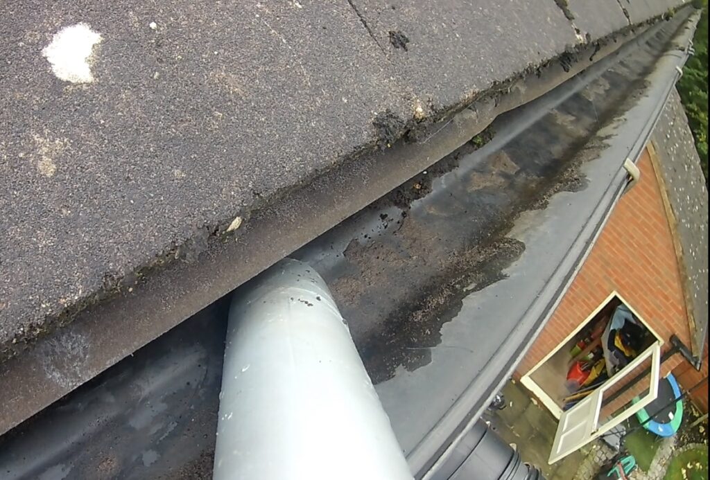 Algae Removal from Patios — Keeping Your Garden Safe Underfoot — Jet Waves Pressure Washing Leicester & Leicestershire