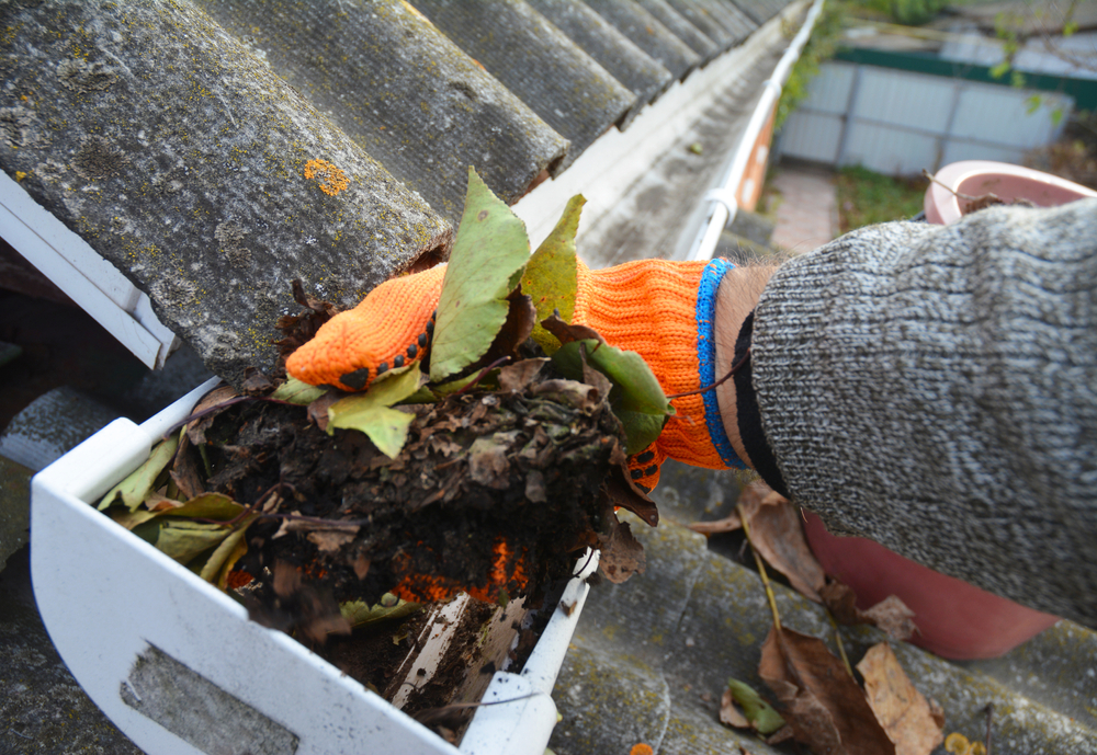 Soft Washing vs Pressure Washing — Which Is Right For Your Surface? — Jet Waves Pressure Washing Leicester & Leicestershire